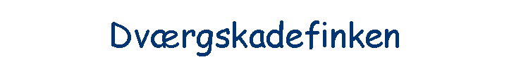 Dv�rgskadefinken
