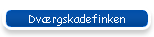 Dv�rgskadefinken