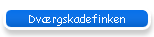 Dv�rgskadefinken