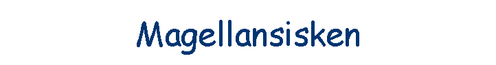 Magellansisken