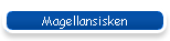 Magellansisken
