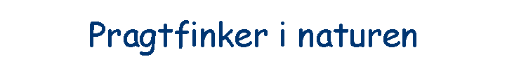 Pragtfinker i naturen