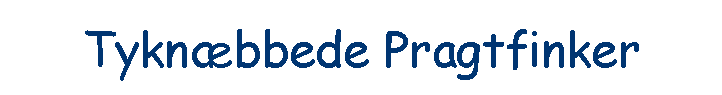 Tykn�bbede Pragtfinker