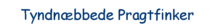 Tyndn�bbede Pragtfinker
