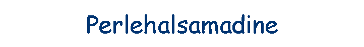 Perlehalsamadine
