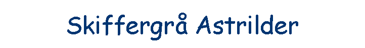 Skiffergr� Astrilder