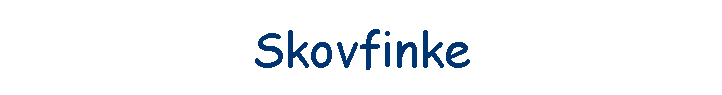 Skovfinke