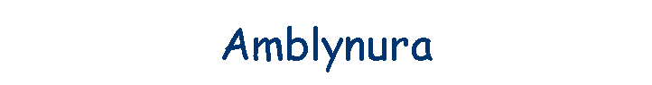 Amblynura