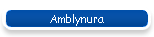 Amblynura