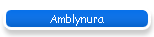 Amblynura
