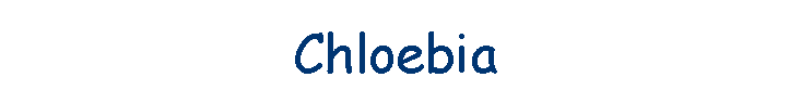 Chloebia