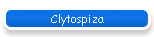 Clytospiza