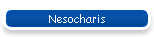 Nesocharis