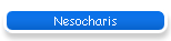 Nesocharis