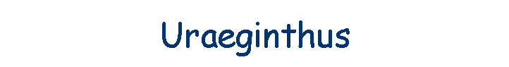 Uraeginthus