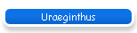 Uraeginthus